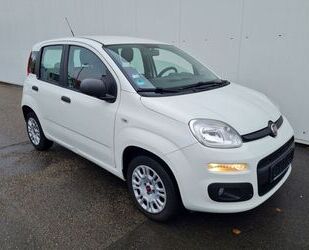 Fiat Fiat Panda Easy 1.2 Klima 1. Hand Gebrauchtwagen