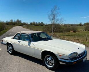 Jaguar Jaguar XJS C H.E. 5.3 V12 Gebrauchtwagen