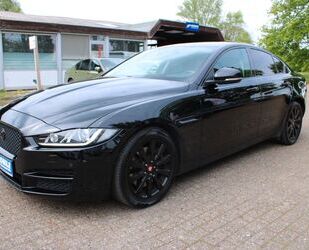 Jaguar Jaguar XE Pure 20t Aut. Bi-Xenon SHZ PDC Gebrauchtwagen