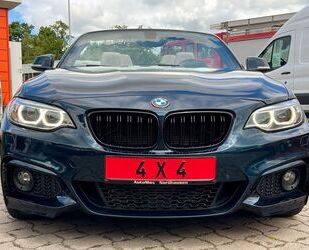 BMW BMW 228i xDrive Cabrio LED Navi Leder PDC Kamera Gebrauchtwagen