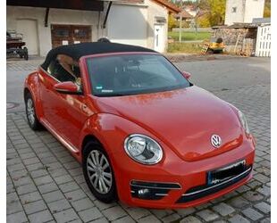 VW Volkswagen Beetle 1.2 TSI DSG BMT SOUND Cabriolet Gebrauchtwagen