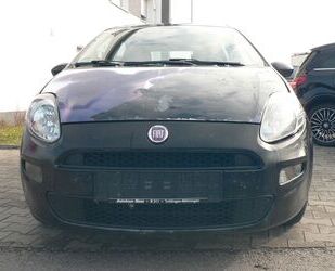 Fiat Punto Gebrauchtwagen