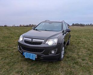 Opel Opel Antara 2.2 CDTI Cosmo 4x4 Cosmo AHK Leder Xen Gebrauchtwagen