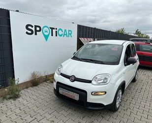 Fiat Fiat Panda Hybrid KLIMA INFOTAINMENT Gebrauchtwagen