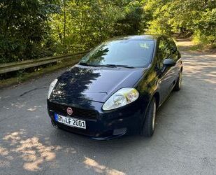 Fiat Fiat Grande Punto 1.2 Active Tüv und Zahnriemen ne Gebrauchtwagen