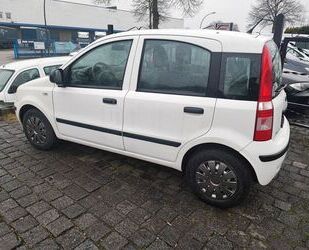 Fiat Fiat Panda 1.2 8V Classic Gebrauchtwagen