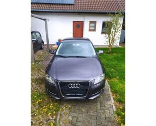 Audi Audi A3 2.0 TDI (DPF) Ambition Gebrauchtwagen