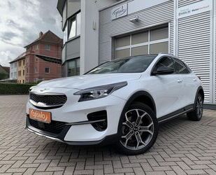 Kia Kia XCeed 1.6T-GDI Platinum Pano+Sitzbelüft.+Kamer Gebrauchtwagen