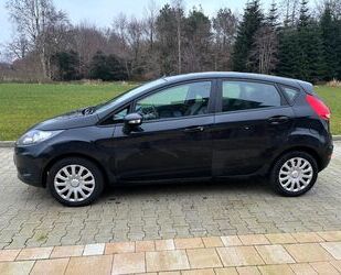 Ford Ford Fiesta 1,25 44kW Trend Gebrauchtwagen