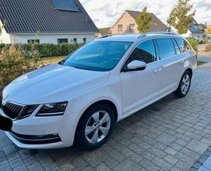 Skoda Skoda Octavia 1.6 TDI SCR Style Combi Style Gebrauchtwagen