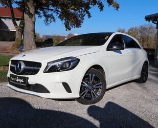 Mercedes-Benz Mercedes-Benz A 200 BlueEfficiency Navi LED Panor Gebrauchtwagen