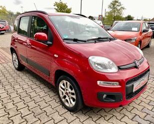 Fiat Fiat New Panda 0.9 8V TwinAir LOUNGE/1Hd./Gepflegt Gebrauchtwagen