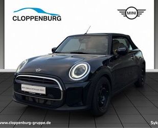 Mini MINI Cooper Cabrio+Yours+Head-Up+HarmanKardon+ACC+ Gebrauchtwagen