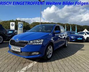 Skoda Skoda Fabia 1.0 MPI Cool Plus Gebrauchtwagen