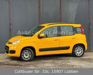 Fiat Fiat Panda Lounge (Nr.147) Gebrauchtwagen