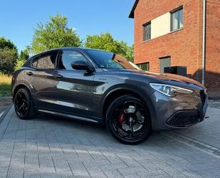 Alfa Romeo Alfa Romeo Stelvio 2.2 Diesel 16V VELOCE CARBON QV Gebrauchtwagen