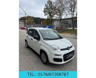 Fiat Fiat New Panda 1.2 8V *Klima*EURO 6* FESTPREIS* Gebrauchtwagen