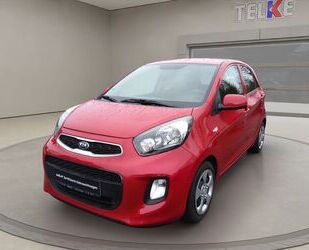 Kia Kia Picanto 1.0 Sensation Winterräder Gebrauchtwagen