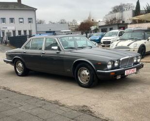 Jaguar Jaguar XJ Serie III V12 Sovereign*H- Kennzeichen* Gebrauchtwagen