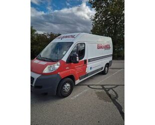 Fiat Fiat Ducato Gebrauchtwagen