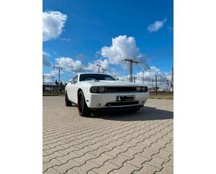 Dodge Dodge Challenger Gebrauchtwagen