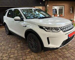 Land Rover Land Rover Discovery Sport D165 AWD Automatik - Gebrauchtwagen