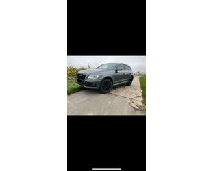 Audi Audi Q5 2.0 TDI S tronic quattro -s-line Gebrauchtwagen