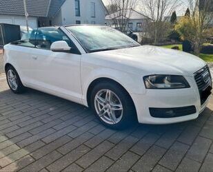 Audi Audi A3 1.8 TFSI Ambition Cabriolet Ambition Gebrauchtwagen