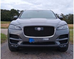 Jaguar Jaguar F-Pace 20d Pure Automatik Pure Gebrauchtwagen