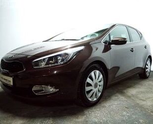 Kia Kia Ceed Platinum Kamera LED Navi Pano Spurhalte Gebrauchtwagen