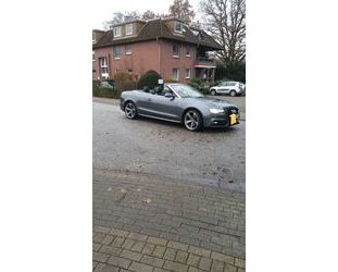 Audi Audi A5 3.0 TDI 180kW S tr. quat. Cabriolet - Gebrauchtwagen