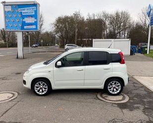 Fiat Fiat New Panda 1.3 16V Multijet LOUNGE Start&Stop. Gebrauchtwagen