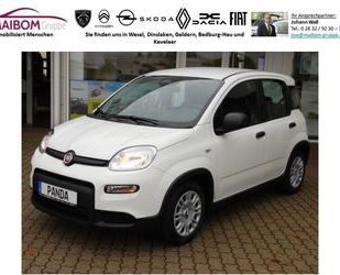 Fiat Fiat Panda 1.0 GSE Sonder-Aktion Gebrauchtwagen