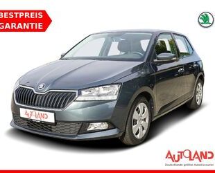 Skoda Skoda Fabia 1.0 TSI Active Sitzheizung PDC Bluetoo Gebrauchtwagen