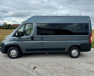 Fiat Fiat Ducato Luxusbus Panorama *9-Sitzer*Standheizu Gebrauchtwagen