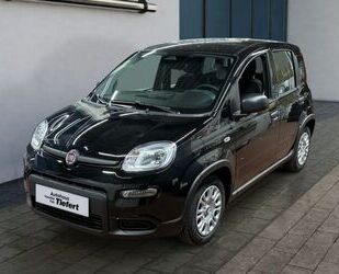 Fiat Fiat Panda 1.0 GSE Hybrid (312) Gebrauchtwagen