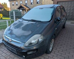 Fiat Punto Gebrauchtwagen