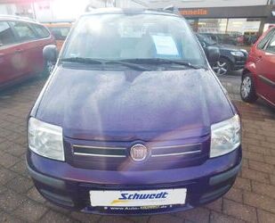 Fiat Fiat Panda 1.2 8V Dynamic Gebrauchtwagen