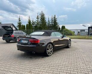 Audi Audi A5 3.0 TDI S tronic quattro Cabriolet - Gebrauchtwagen