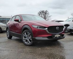 Mazda Mazda CX-30 e-SKYACTIV-G M-Hybrid 150 Exclusive-Li Gebrauchtwagen