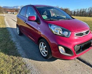 Kia Picanto Gebrauchtwagen