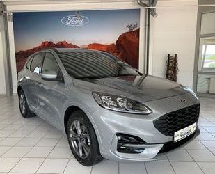 Ford Ford Kuga Diesel 2.0 EcoBlue 4x4 Aut. ST-LINE X Gebrauchtwagen