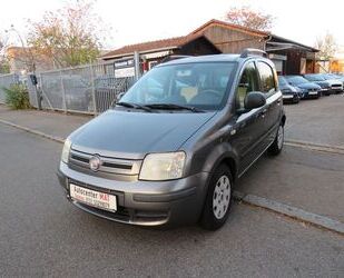 Fiat Fiat Panda 1.2 8V Dynamic Gebrauchtwagen