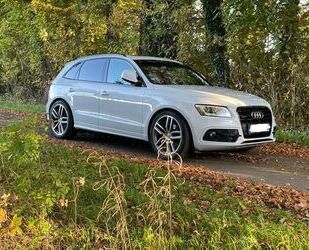 Audi Audi Q5 2.0 TDI 140kW S tronic quattro Sport S-Lin Gebrauchtwagen