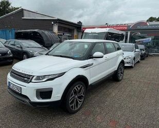 Land Rover Land Rover Range Rover Evoque Sitzhz NAVI Kamera T Gebrauchtwagen