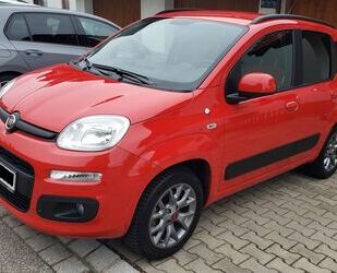 Fiat Fiat New Panda 1.2 8V LOUNGE LOUNGE Gebrauchtwagen