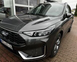 Ford Ford Kuga Hybrid ST-Line X Gebrauchtwagen