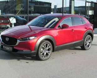 Mazda Mazda CX-30 SKYACTIV-X Edition 100 Klima Navi Lede Gebrauchtwagen