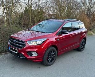 Ford Ford Kuga 2,0 TDCi 4x4 ST-Line Aut. AHK Panorama Gebrauchtwagen