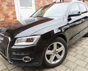 Audi Audi Q5 2.0 TDI 1 Hand HU/AU Neu Panorama-Dach Gebrauchtwagen